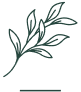 Life Transitions icon